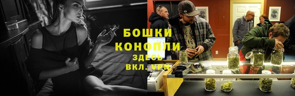 не бодяженный Аркадак