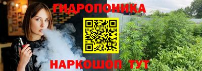 тгк Гусев