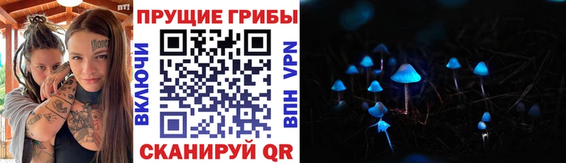Галлюциногенные грибы MAGIC MUSHROOMS  Нарткала 
