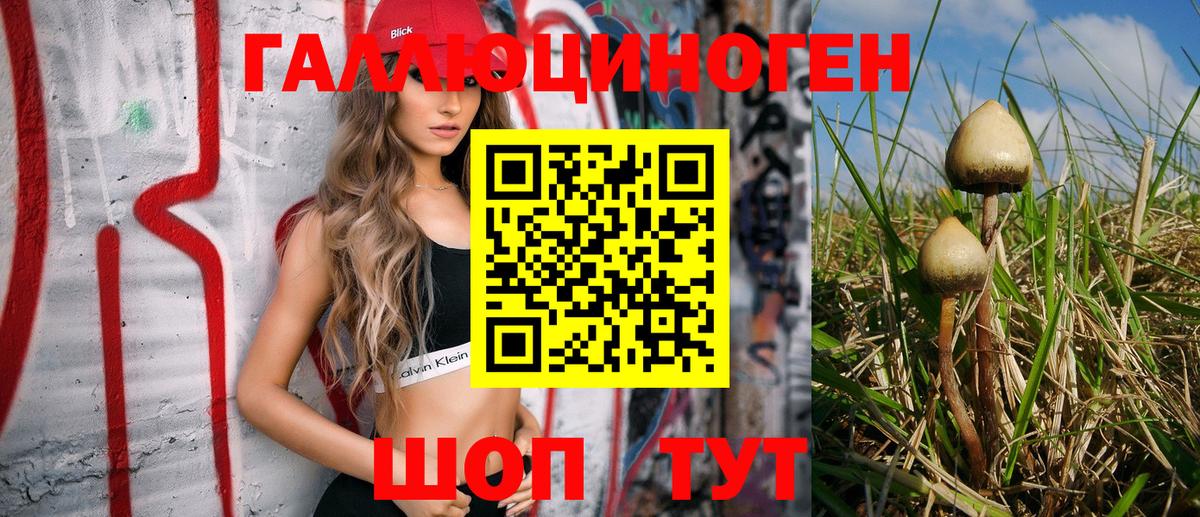 Нарткала  Псилоцибиновые грибы Psilocybe  Вход с VPN 